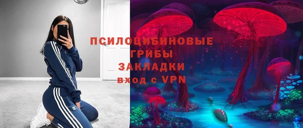 прущие грибы Балабаново
