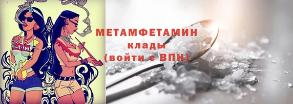 прущие грибы Балабаново