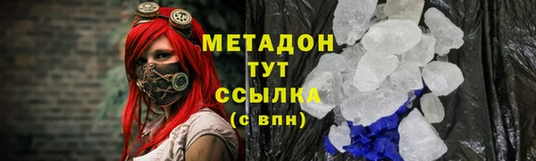 прущие грибы Балабаново