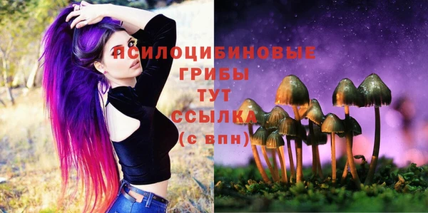 прущие грибы Балабаново