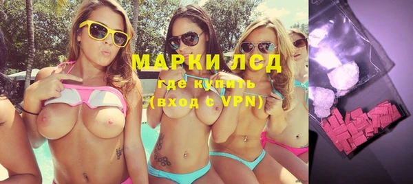 прущие грибы Балабаново