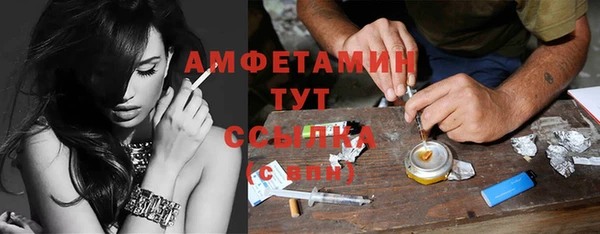 прущие грибы Балабаново