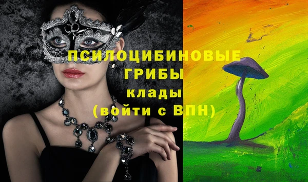 прущие грибы Балабаново