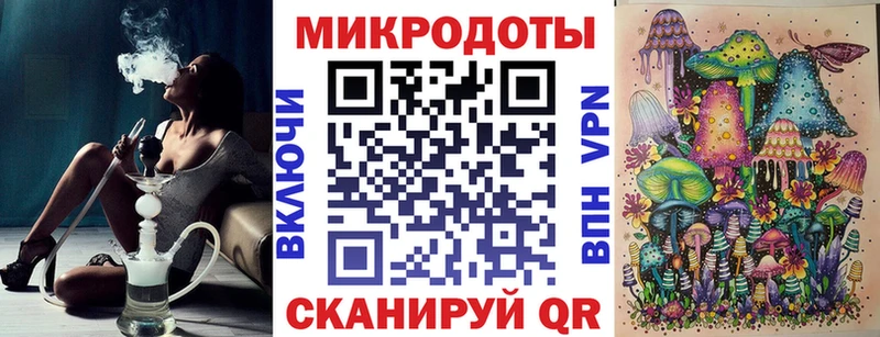 Псилоцибиновые грибы Psilocybe  Николаевск-на-Амуре 